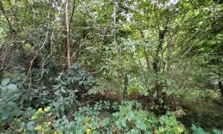 Terrain  8920 m² à vendre à Saint-Priest-Taurion (87480)