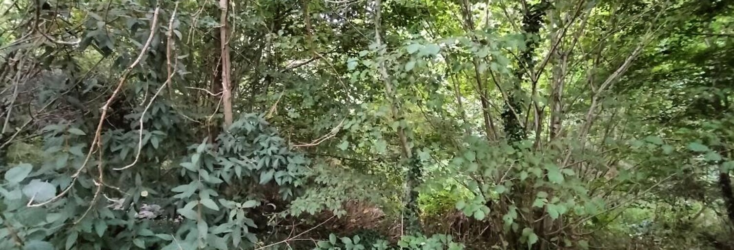 Terrain  8920 m² à vendre à Saint-Priest-Taurion (87480)