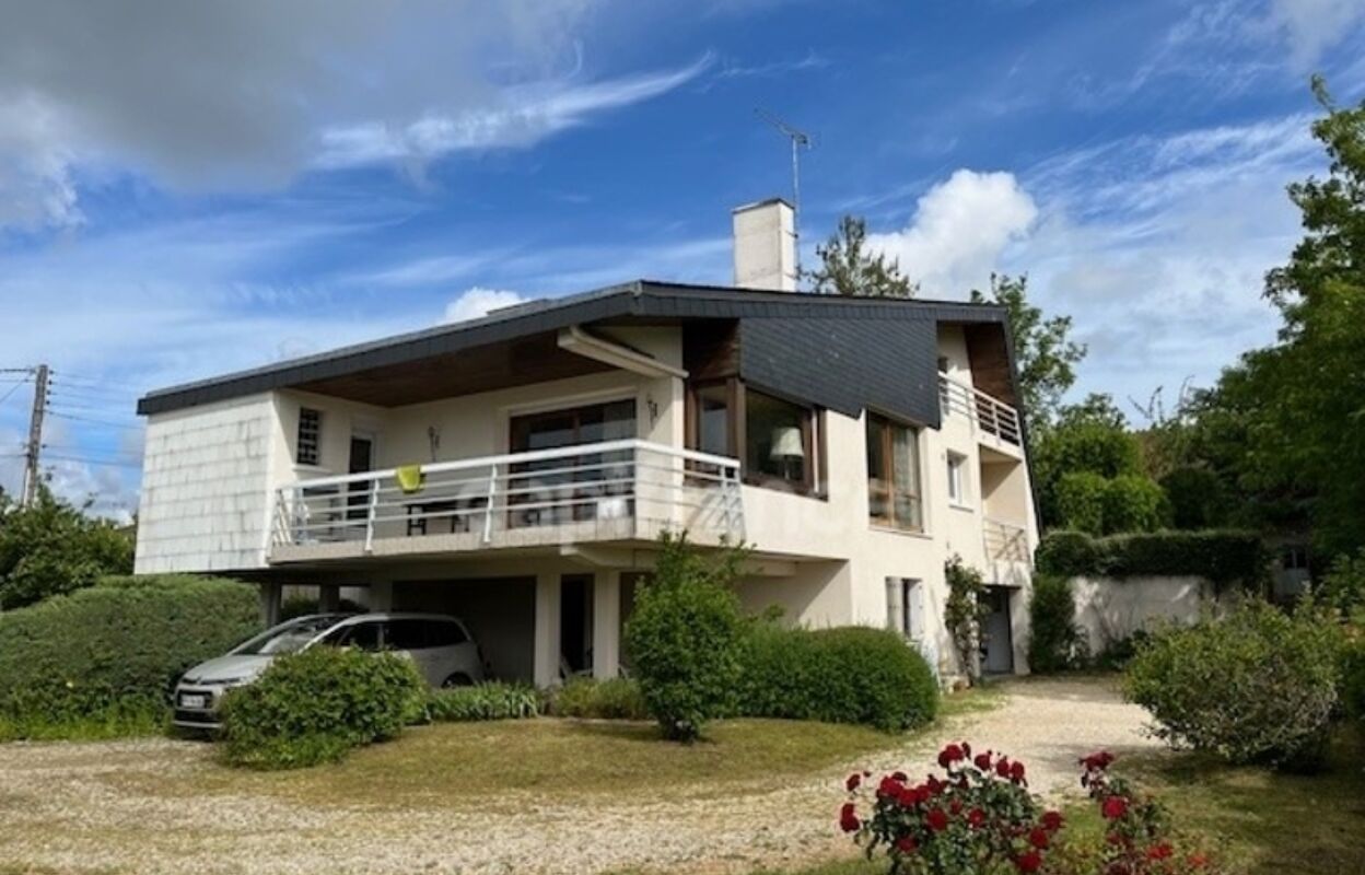 maison 7 pièces 198 m2 à vendre à Saint-Ouen (41100)