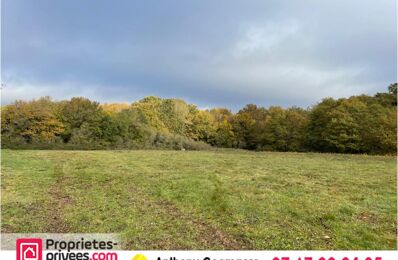 vente terrain 28 990 € à proximité de Romorantin-Lanthenay (41200)