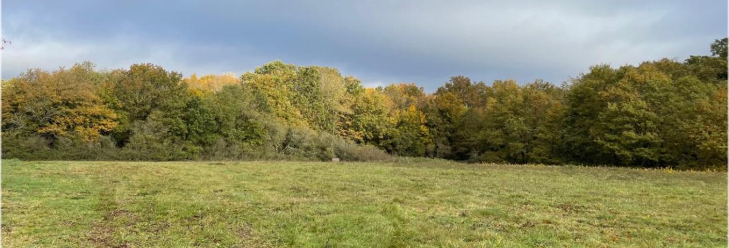Terrain  7574 m² à vendre à Saint-Julien-sur-Cher (41320)