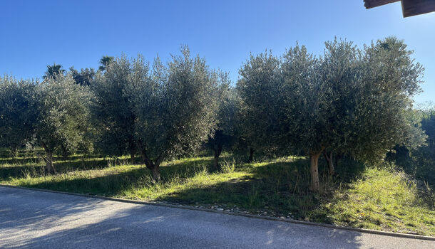 Terrain  à vendre Perpignan 66000