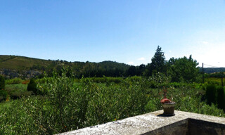 Photo N° 5