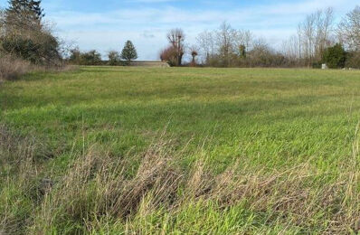 vente terrain 39 500 € à proximité de Neuville-Aux-Bois (45170)