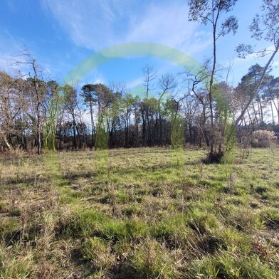 Terrain  215000 €