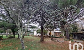 Photo N° 6