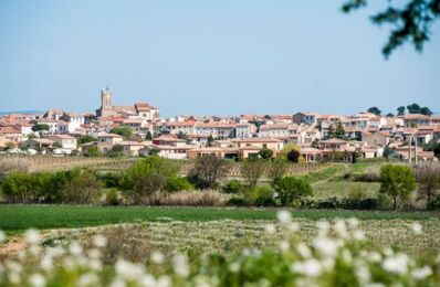 vente commerce 65 000 € à proximité de Thézan-Lès-Béziers (34490)