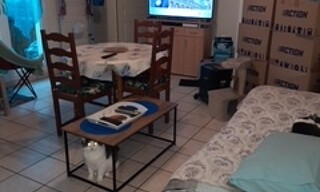 Photo N° 3