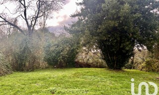Photo N° 6