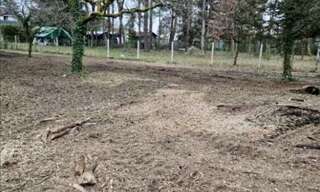 Terrain  2209 m² à vendre à Les Montils (41120)