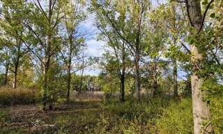 Terrain 43800 m² en viager Marsillargues (34590)