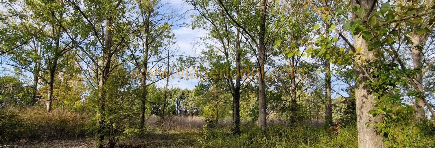 Terrain 43800 m² en viager Marsillargues (34590)