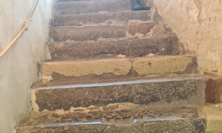Photo N° 6