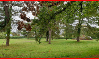 Photo N° 4