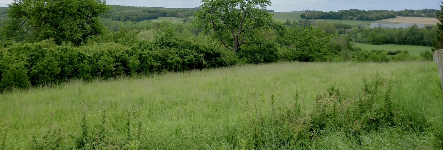 Terrain  1596 m² à vendre à Château-Renard (45220)