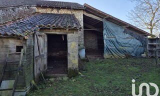 Photo N° 15