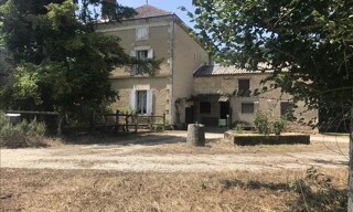 Photo N° 4
