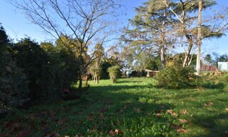 Photo N° 5