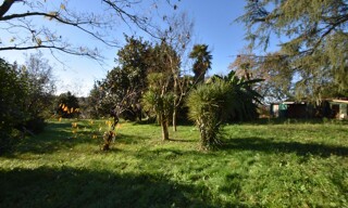 Photo N° 6