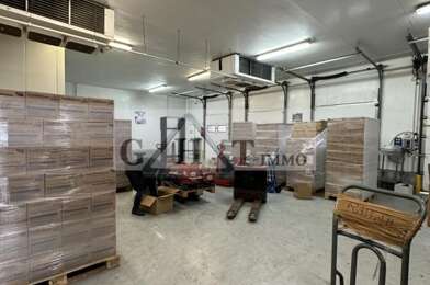 Local industriel  2350000 €