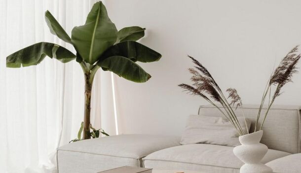 Appartement 2 pièces  à vendre Argelès-sur-Mer 66700