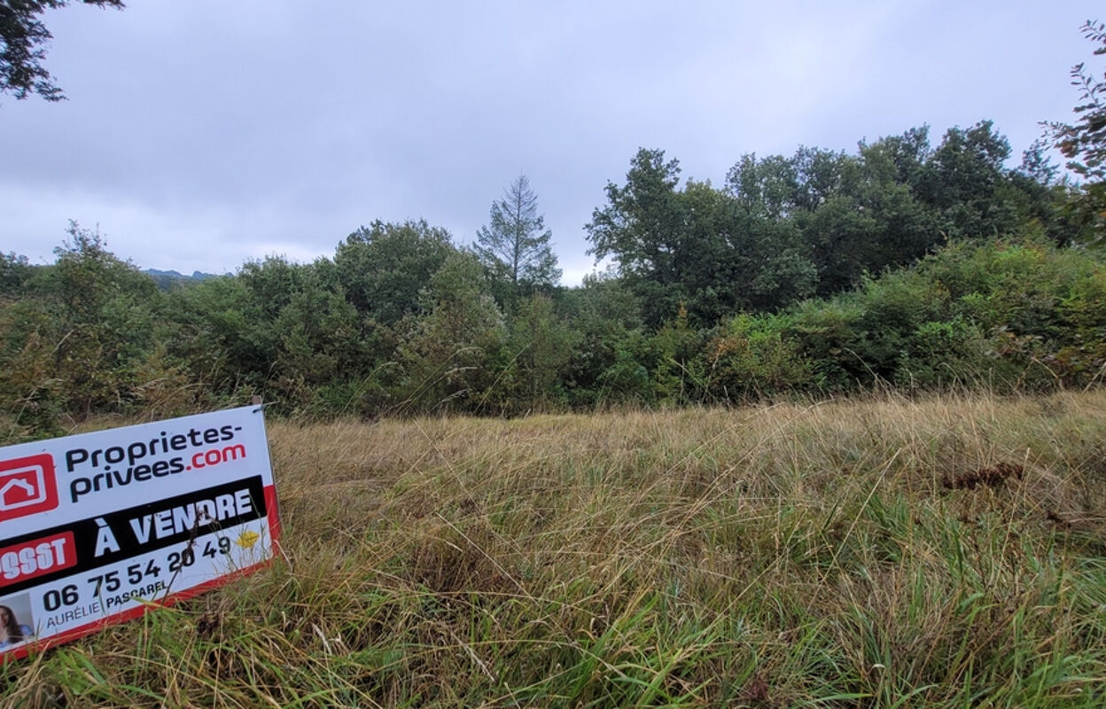 terrain  pièces 3145 m2 à vendre à Brive-la-Gaillarde (19100)