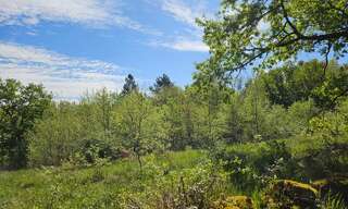 Terrain  3145 m² à vendre à Noailles (19600)