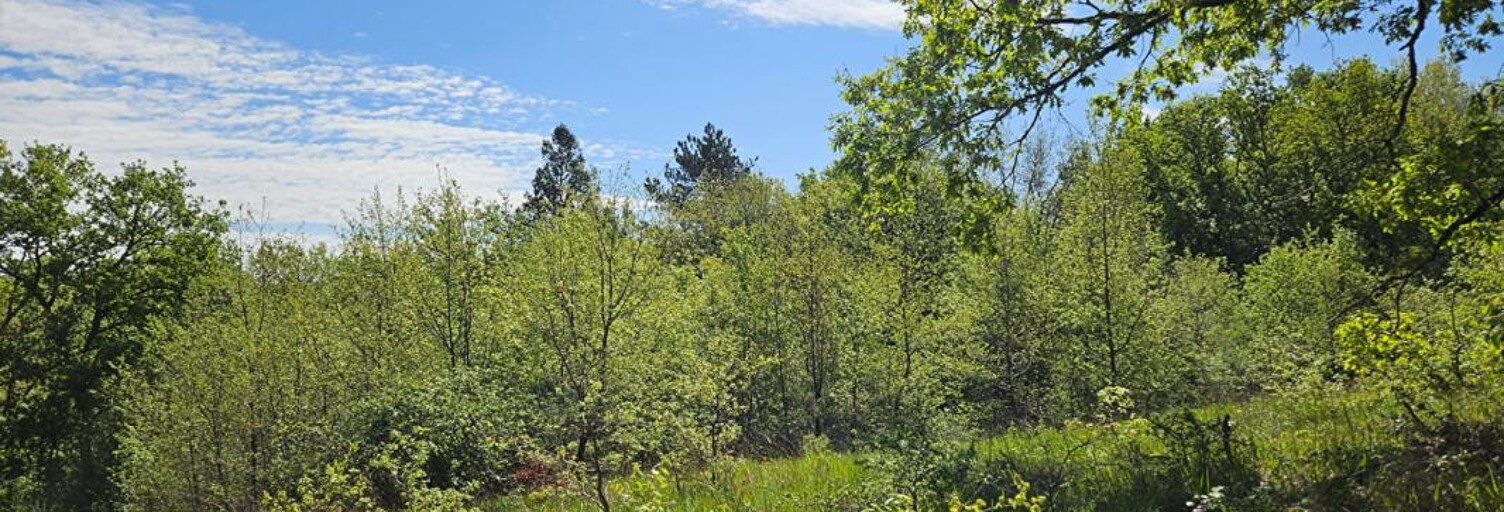 Terrain  3145 m² à vendre à Noailles (19600)