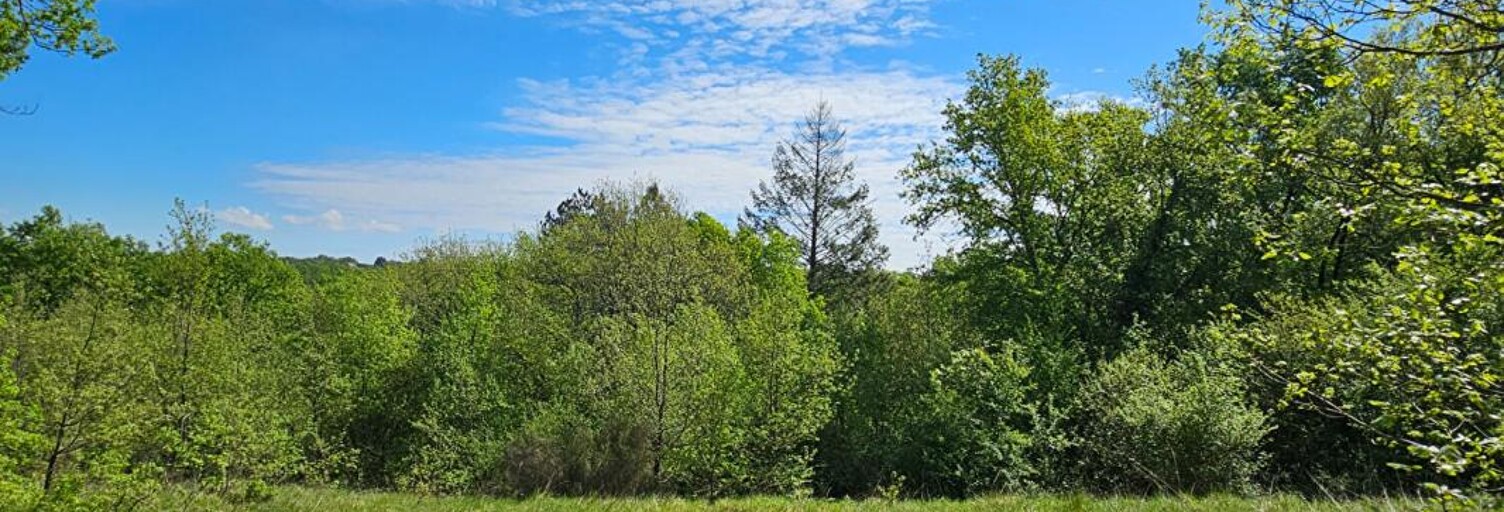 Terrain  1615 m² à vendre à Noailles (19600)