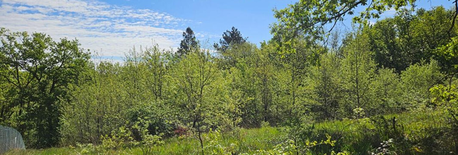 Terrain  1530 m² à vendre à Noailles (19600)