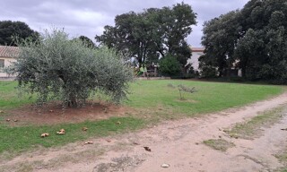 Photo N° 5