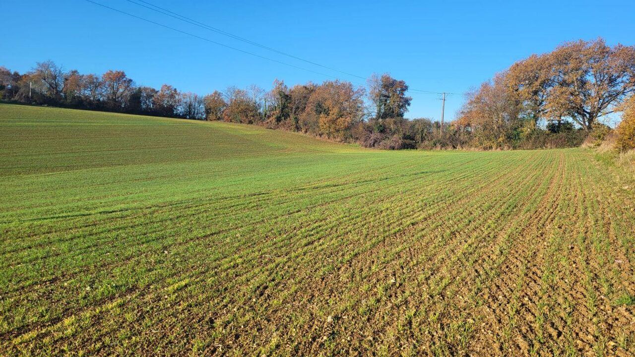 terrain  pièces 2000 m2 à vendre à Saint-Sauvy (32270)