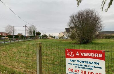 vente terrain 136 240 € à proximité de Druye (37190)