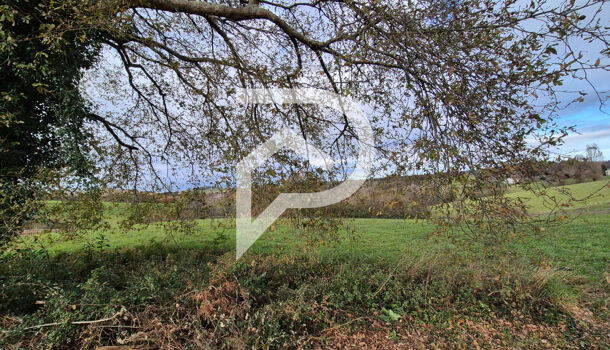 Terrain  à vendre Salies-de-Béarn 64270