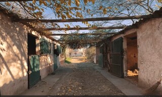Photo N° 3