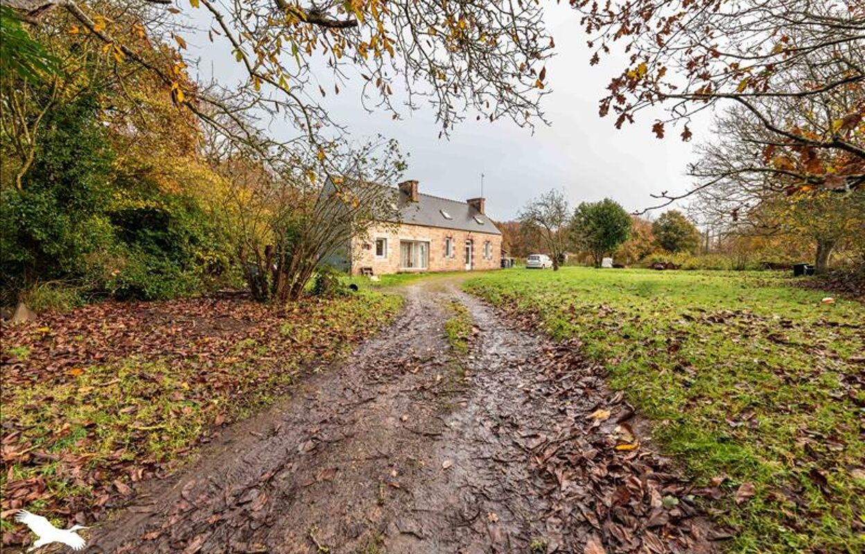 maison 5 pièces 113 m2 à vendre à Cavan (22140)