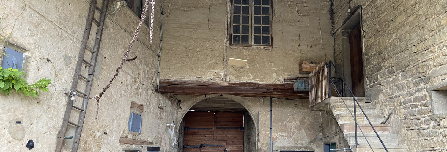 Maison 10 Pièces 550 m² à vendre à Saint-Didier-au-Mont-d'Or (69370)