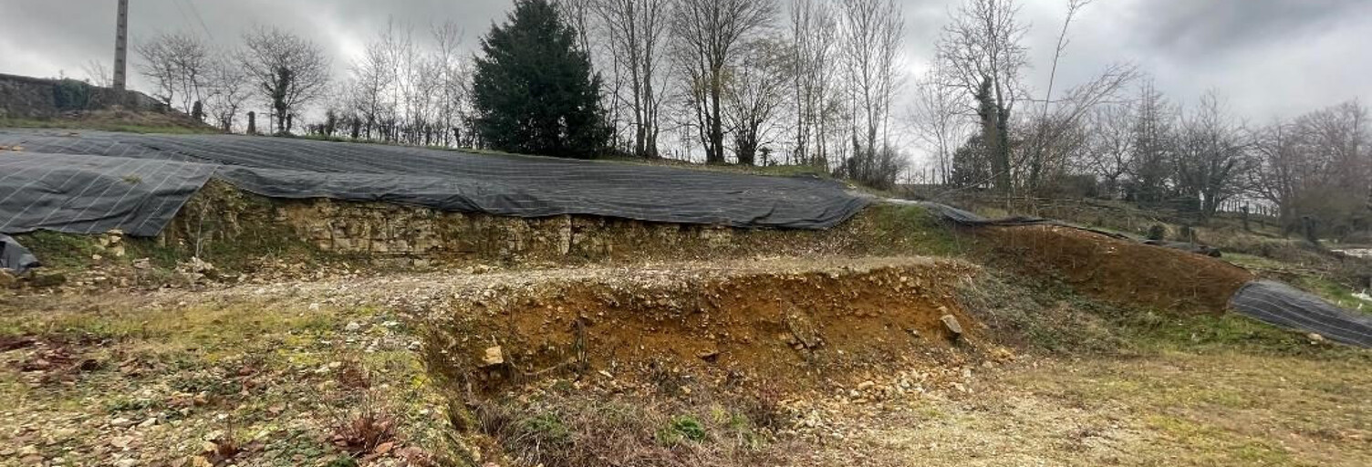 Terrain  1370 m² à vendre à Saint-Dizier (52100)