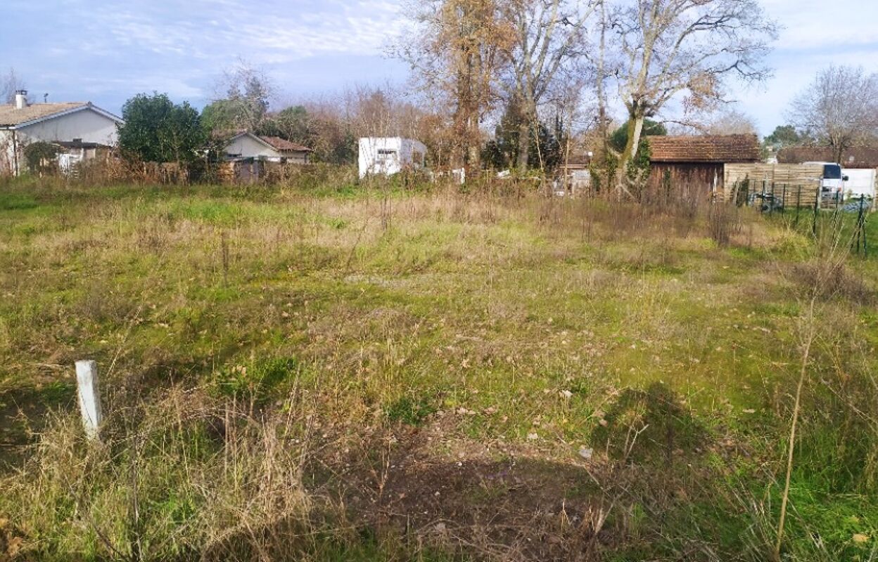 terrain  pièces 530 m2 à vendre à Roaillan (33210)