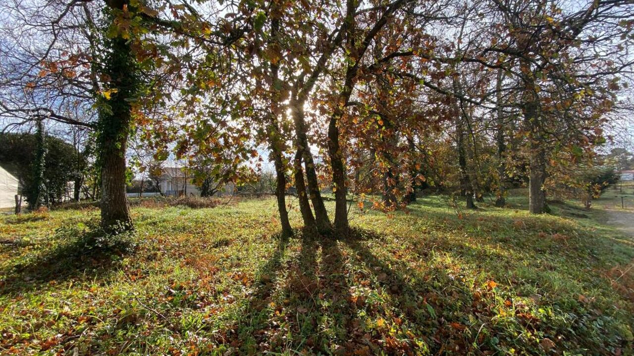 terrain  pièces 2063 m2 à vendre à Les Mathes (17570)