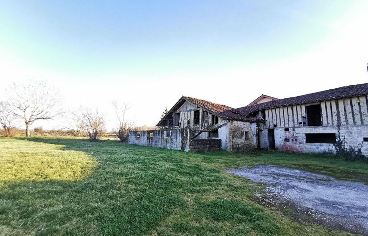 maison 1 pièces 280 m2 à vendre à Aire-sur-l'Adour (40800)