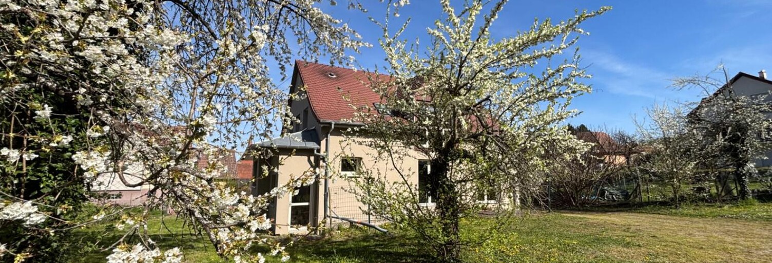 Maison 7 Pièces 160 m² à vendre à Niedermorschwihr (68230)