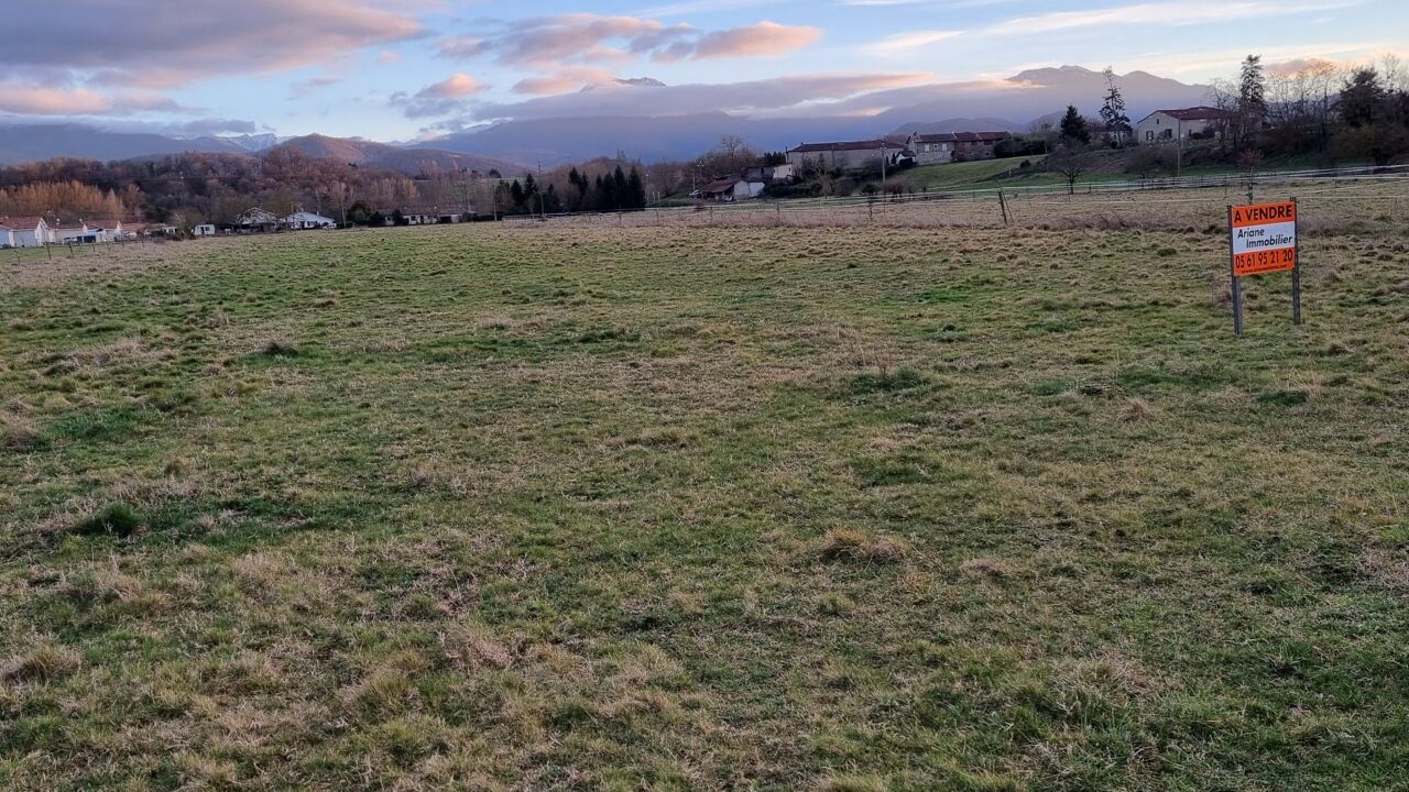 terrain  pièces 7900 m2 à vendre à Saint-Gaudens (31800)