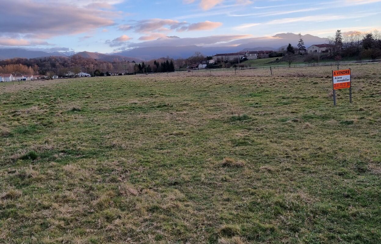 terrain  pièces 7900 m2 à vendre à Saint-Gaudens (31800)