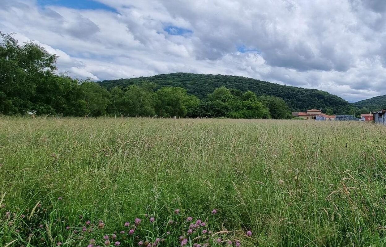 terrain  pièces 1800 m2 à vendre à Miramont-de-Comminges (31800)