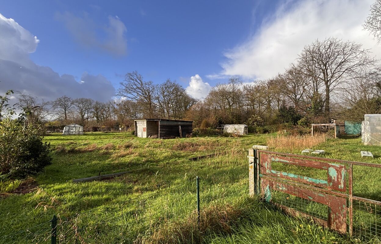 terrain  pièces 1118 m2 à vendre à Dinan (22100)