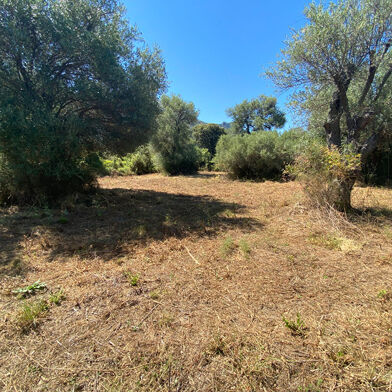 Terrain 4005 m²