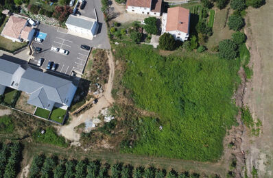 vente terrain 199 000 € à proximité de Pie-d'Orezza (20229)