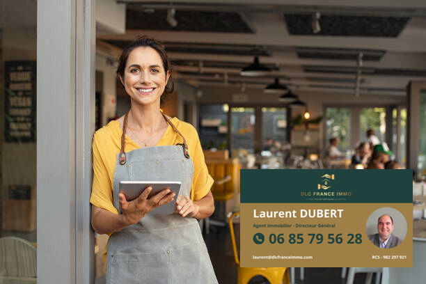 Agence immobilière de DLC FRANCE IMMO