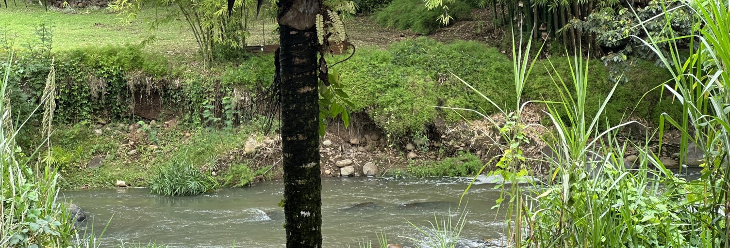 Divers 6 Pièces 200 m² à vendre à Goyave (97128)